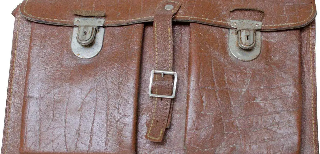 5 Easy Ways To Remove Ink Stains From Leather Bag? Cleanup Geek