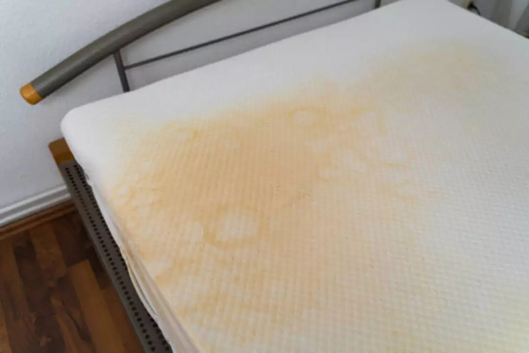 6 Easy Ways To Remove Sweat Stains From Mattress?