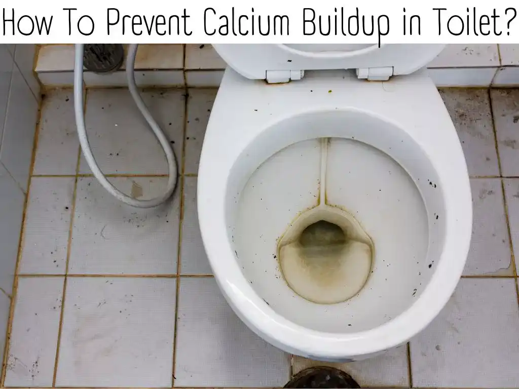 How To Prevent Calcium Buildup in Toilet?