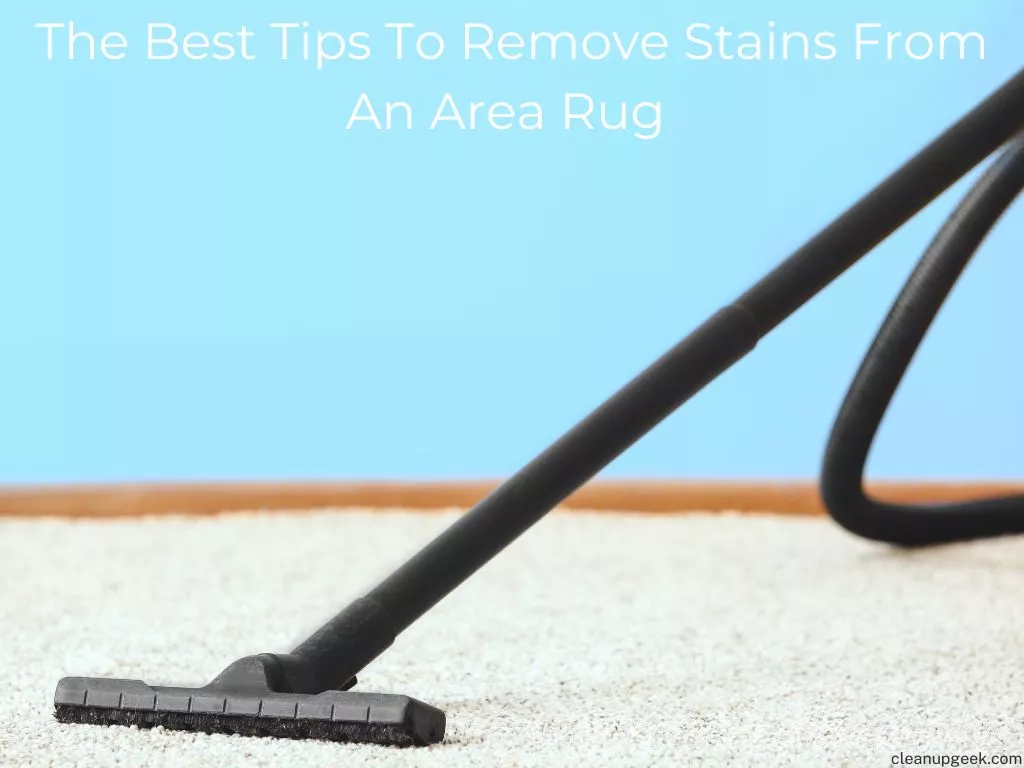 The Best Tips To Remove Stains From An Area Rug