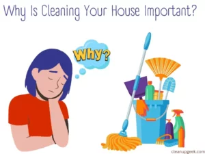 Why is cleaning your house important