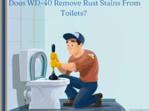 Does WD 40 Remove Rust Stains From Toilets?