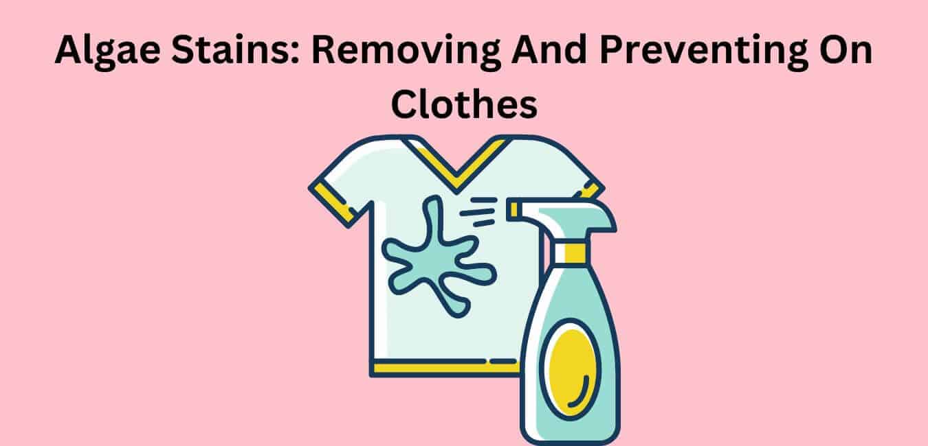 Algae Stains: Removing And Preventing On Clothes