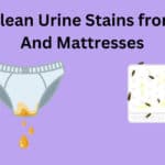 How To Clean Urine Stains from clothes And Mattresses
