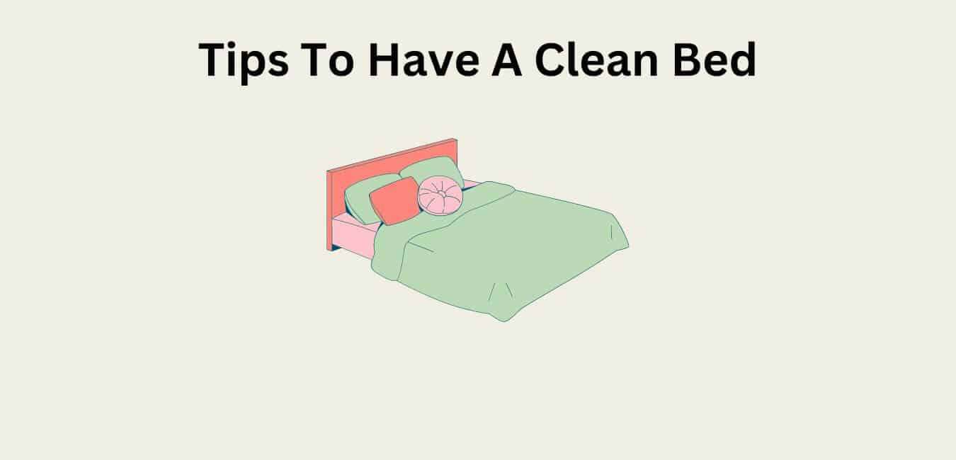 How to Clean Your Bed