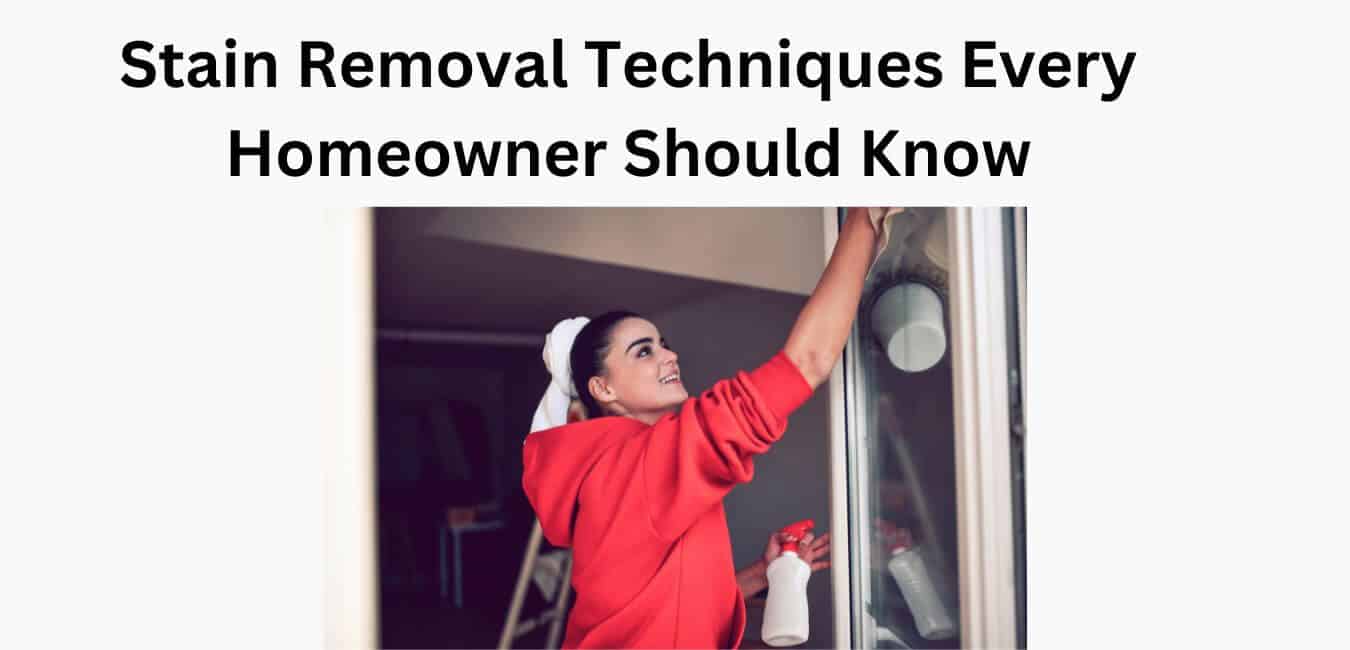 Stain Removal Techniques Every Homeowner Should Know