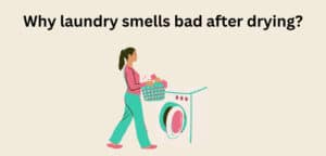 Why does laundry smell bad after drying?