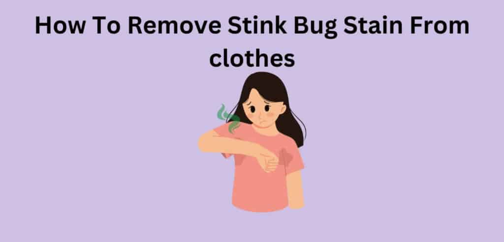 how-to-remove-stink-bug-stain-from-clothes-cleanup-geek