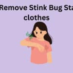How To Remove Stink Bug Stain From clothes