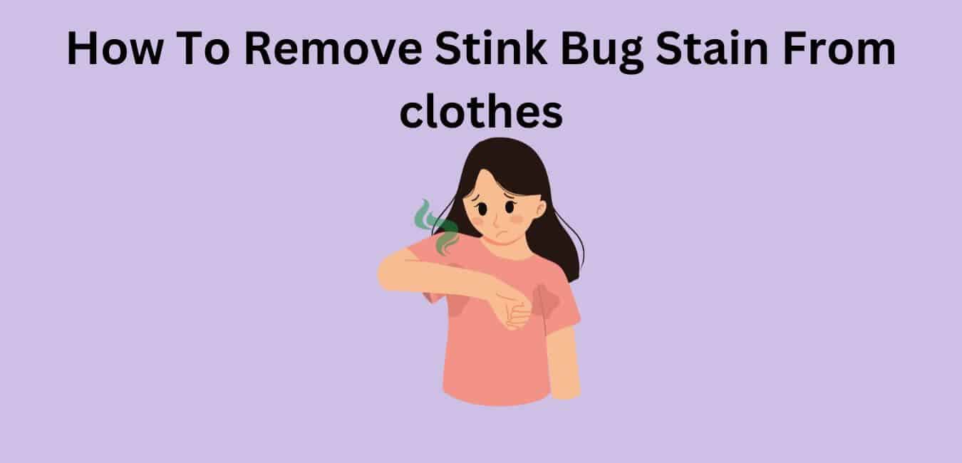 How To Remove Stink Bug Stain From clothes
