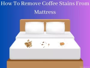 Easy Tips To Remove Coffee Stains From Mattress