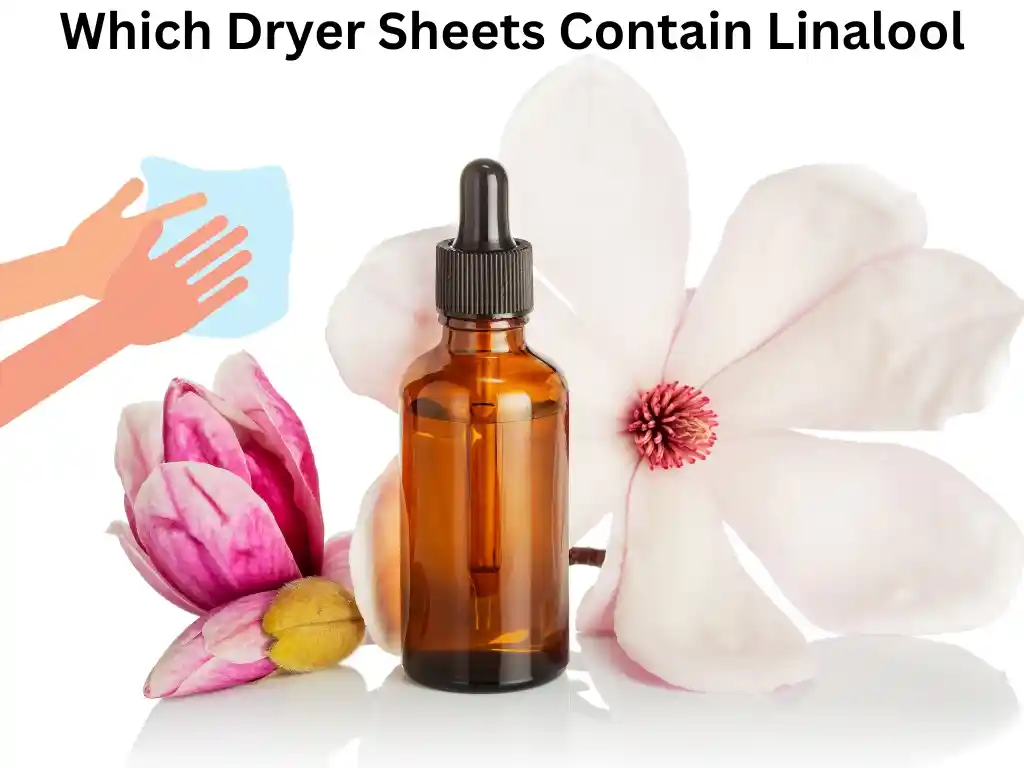 Which Dryer Sheets Contain Linalool