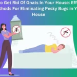 How To Get Rid Of Gnats In Your House
