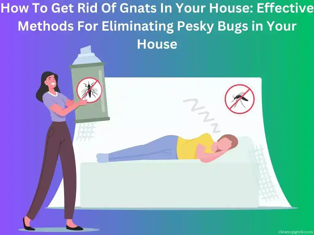 How To Get Rid Of Gnats In Your House