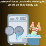 The Mystery of Socks Lost in the Washing Machine: Where Do They Really Go?