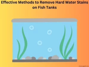 Effective Methods to Remove Hard Water Stains on Fish Tanks