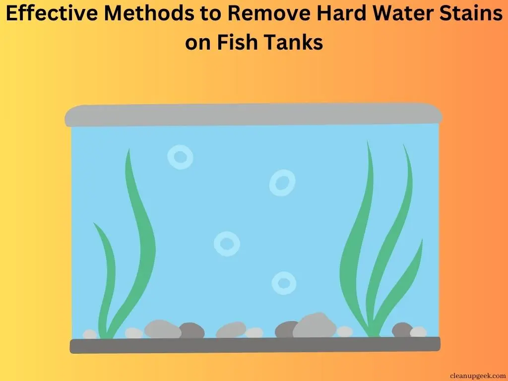 Effective Methods to Remove Hard Water Stains on Fish Tanks