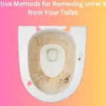 Effective Methods for Removing Urine Stains from Your Toilet