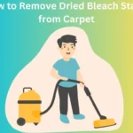 How to Remove Dried Bleach Stains from Carpet