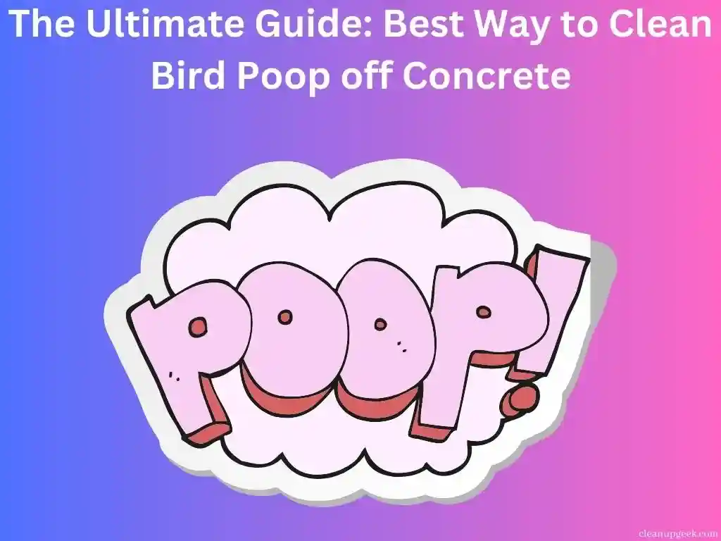 The Ultimate Guide: Best Way to Clean Bird Poop off Concrete