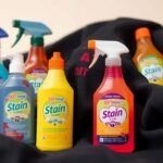 Top Stain Removers for Dark Clothing